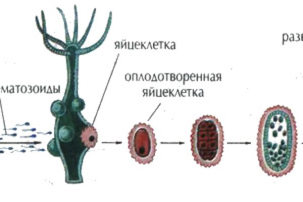 Кракен ссылка 25