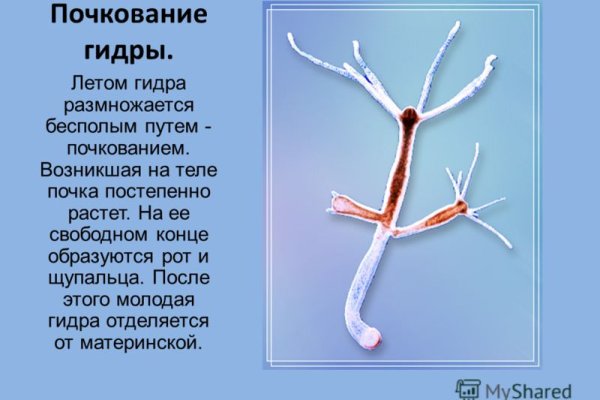 Кракен сайт вход