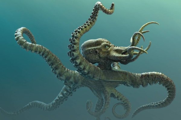 Kraken зеркало рабочее